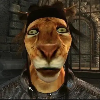 Khajiit